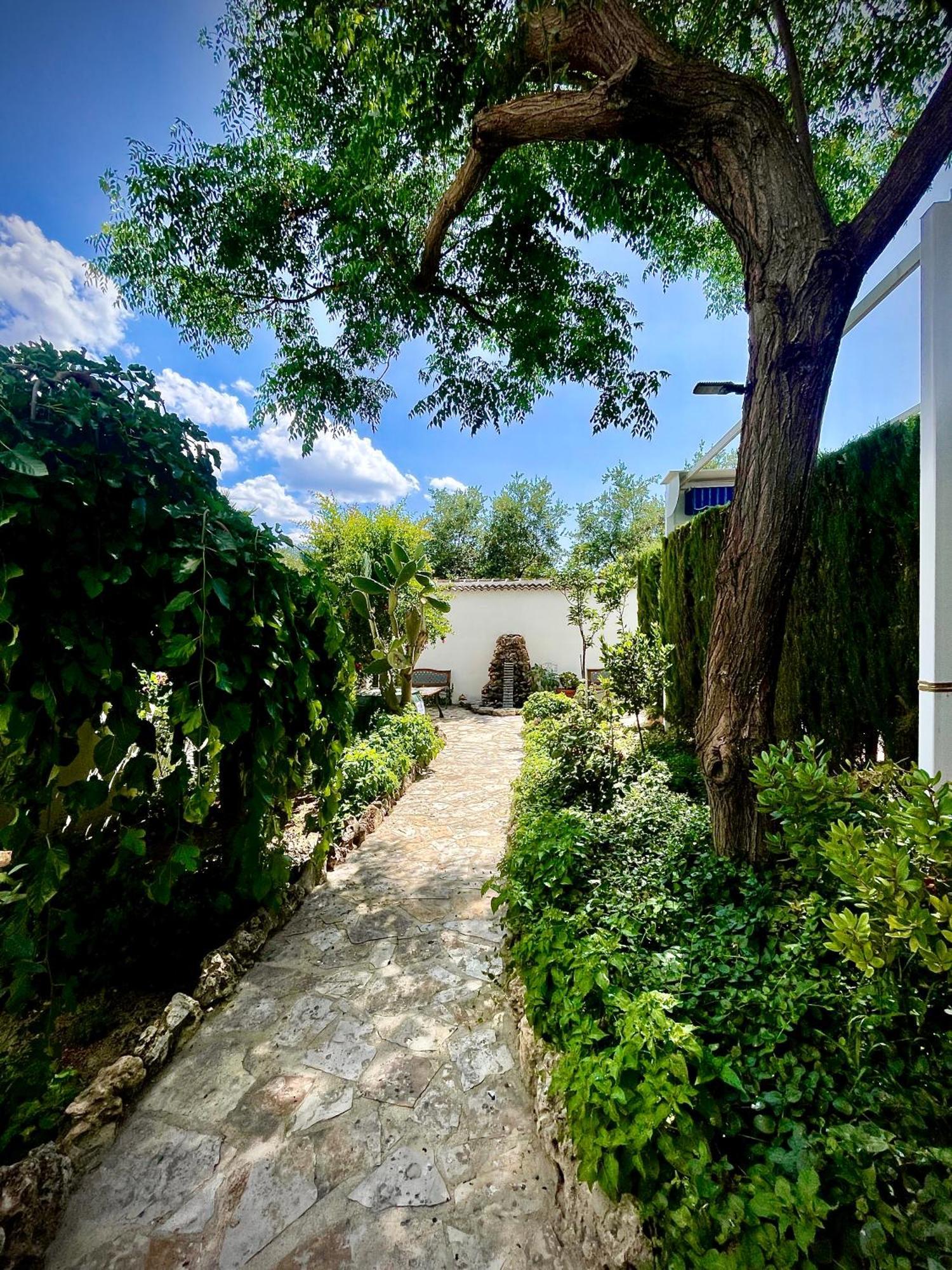Jardin Hébergement de vacances